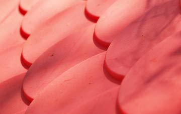 Torbush plastic roof costs