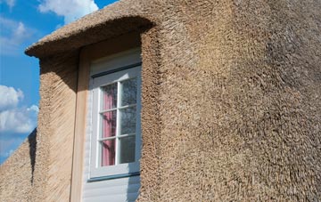 Torbush thatch roof disadvantages